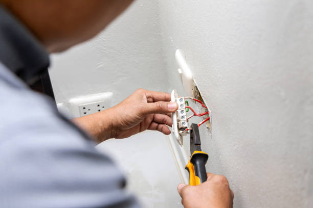 Best Electric Panel Repair  in Biltmore, TN